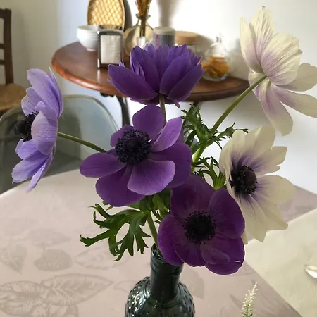 D'hotes Les Bacquerins 3*