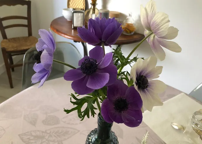 D'hotes Les Bacquerins 3*